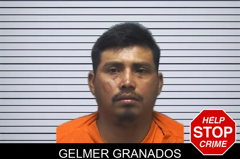 Gelmer Granados mugshot
