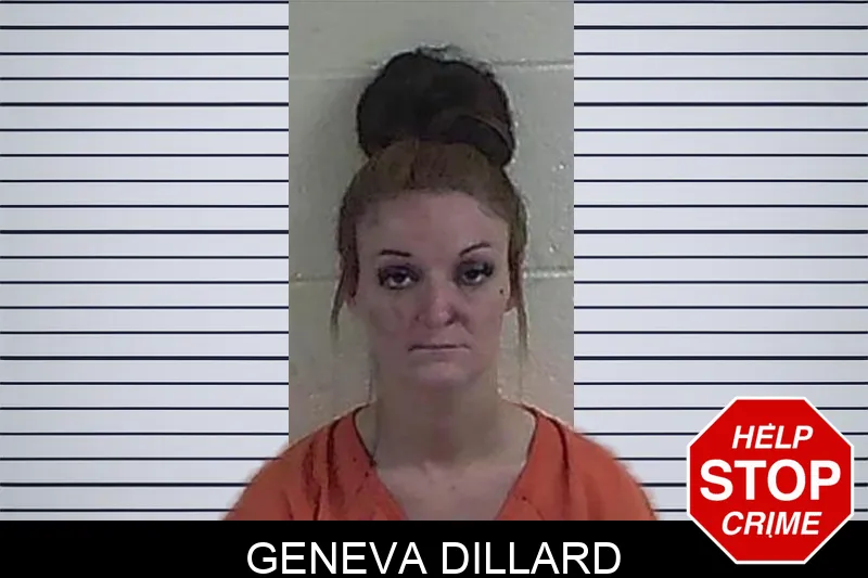 Geneva Dillard mugshot – Fannin County , Georgia Geneva Dillard mugshot