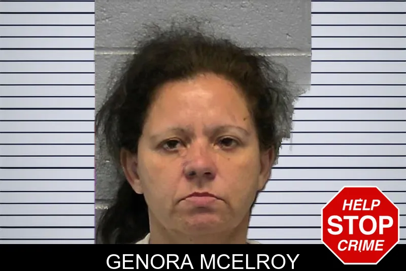 Genora McElroy mugshot – Ware County , Georgia Genora McElroy mugshot