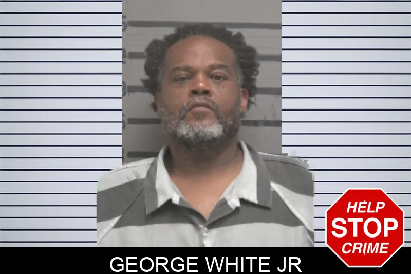 George White Jr mugshot – Dougherty County , Georgia George White Jr mugshot