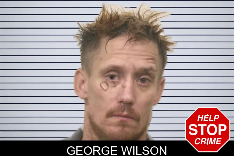 George Wilson mugshot