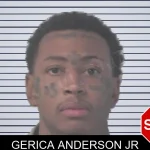 Gerica Anderson Jr mugshot