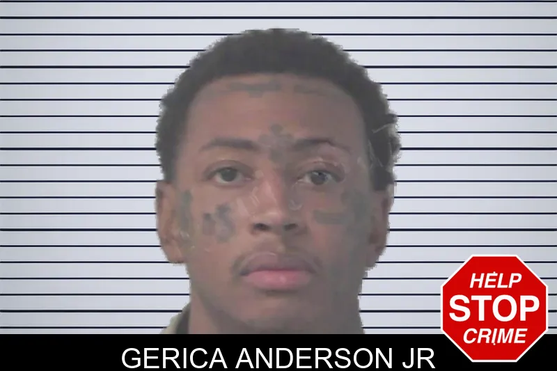 Gerica Anderson Jr mugshot