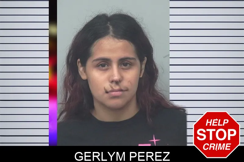 Gerlym Perez mugshot