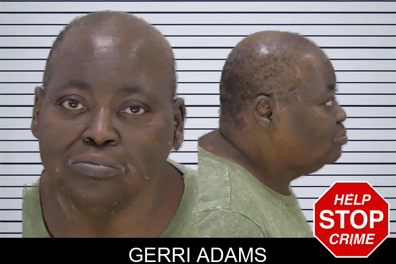Gerri Adams mugshot