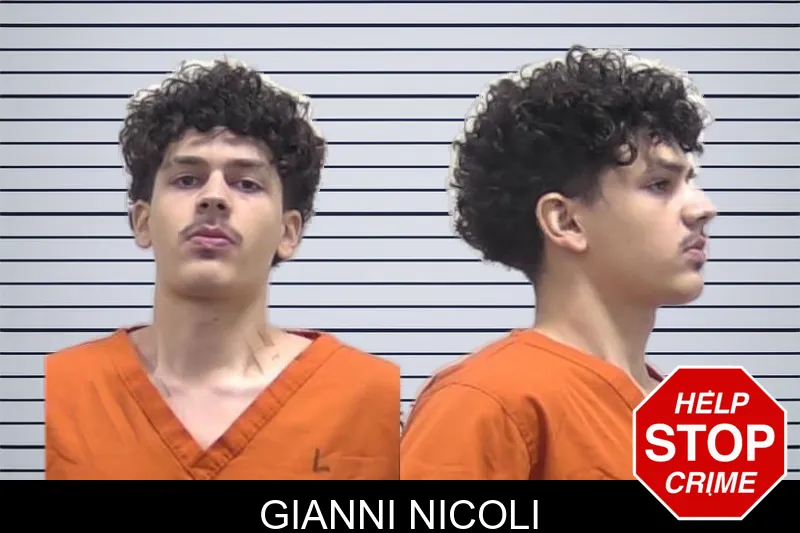 Gianni Nicoli mugshot – Clarke County , Georgia Gianni Nicoli mugshot
