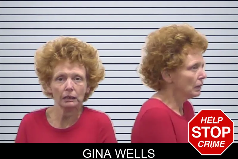 Gina Wells mugshot