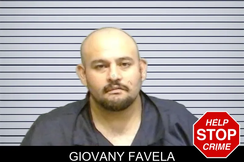 Giovany Favela mugshot