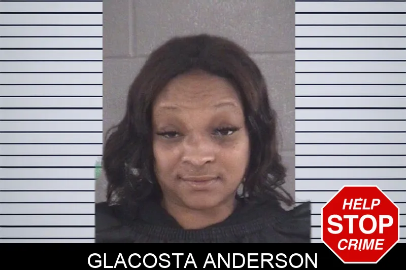 Glacosta Anderson mugshot