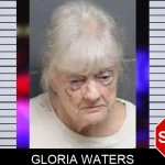 Gloria Waters mugshot – Bacon County , Georgia Gloria Waters mugshot