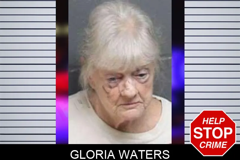 Gloria Waters mugshot – Bacon County , Georgia Gloria Waters mugshot
