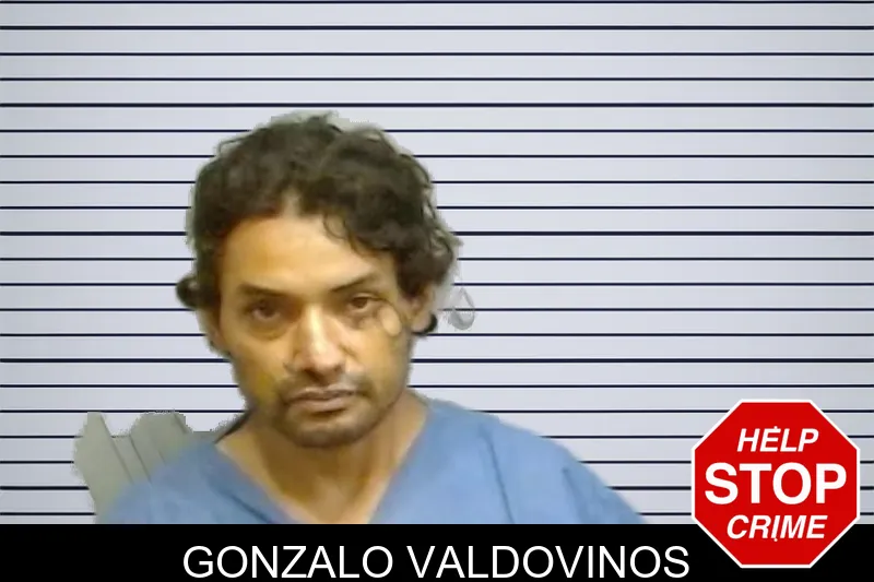 Gonzalo Valdovinos mugshot – Fulton County , Georgia Gonzalo Valdovinos mugshot