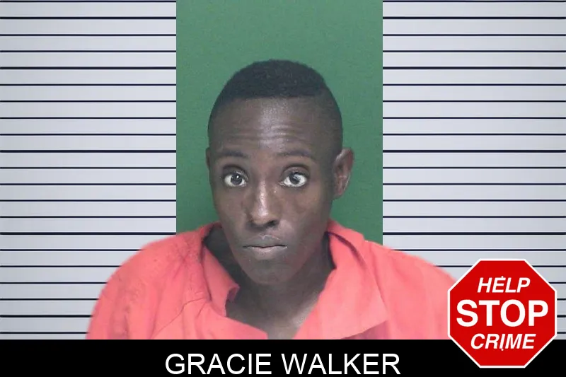 Gracie Walker mugshot – Appling County , Georgia Gracie Walker mugshot