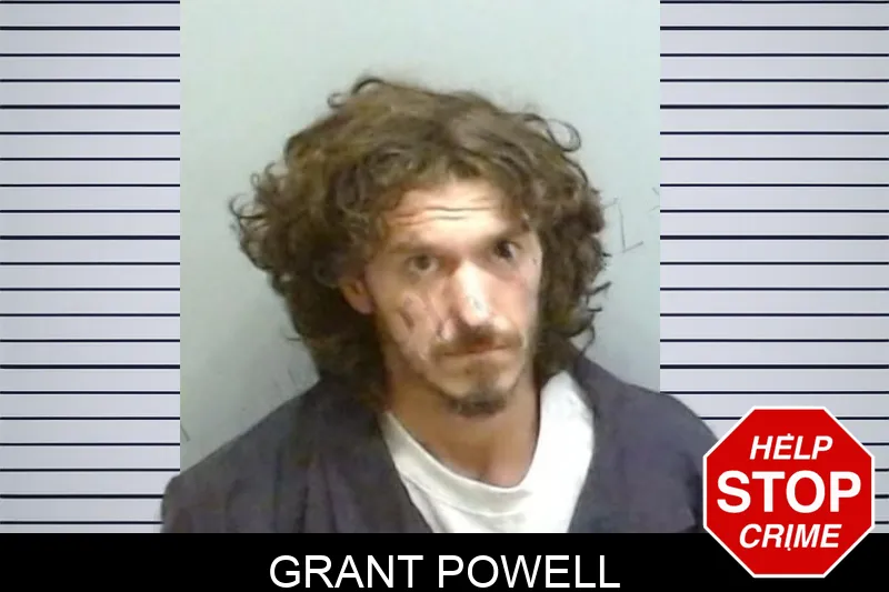 Grant Powell mugshot – Fulton County , Georgia Grant Powell mugshot
