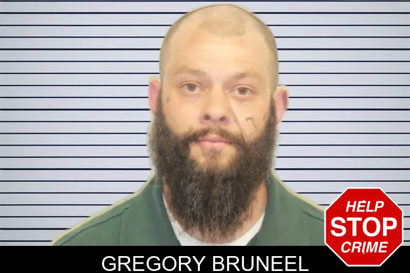 Gregory Bruneel mugshot