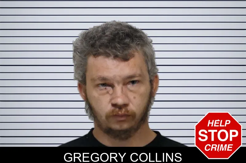 Gregory Collins mugshot – Bibb County , Georgia Gregory Collins mugshot