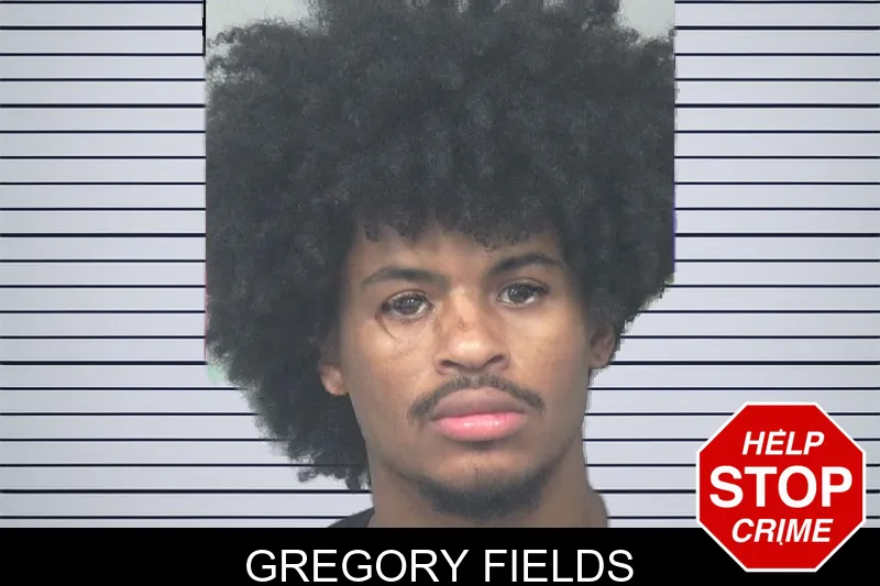 Gregory Fields mugshot