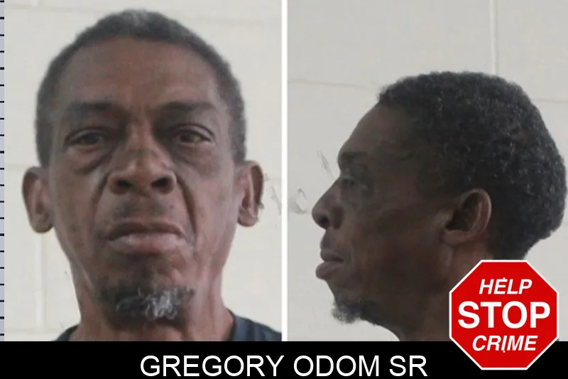 Gregory Odom Sr mugshot – Houston County , Georgia Gregory Odom Sr mugshot