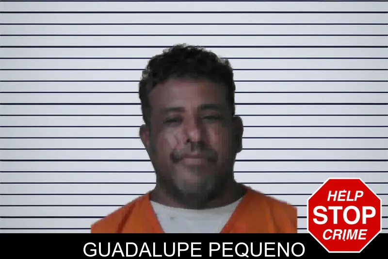 Guadalupe Pequeno mugshot – Miller County , Georgia Guadalupe Pequeno mugshot