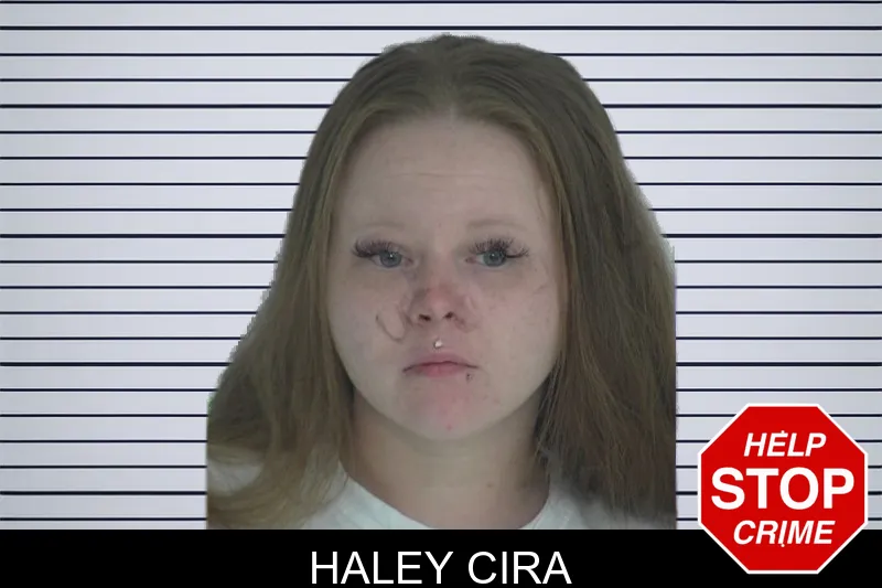 Haley Cira mugshot – Fayette County , Georgia Haley Cira mugshot