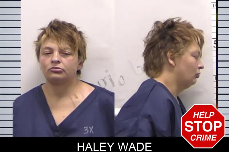 Haley Wade mugshot