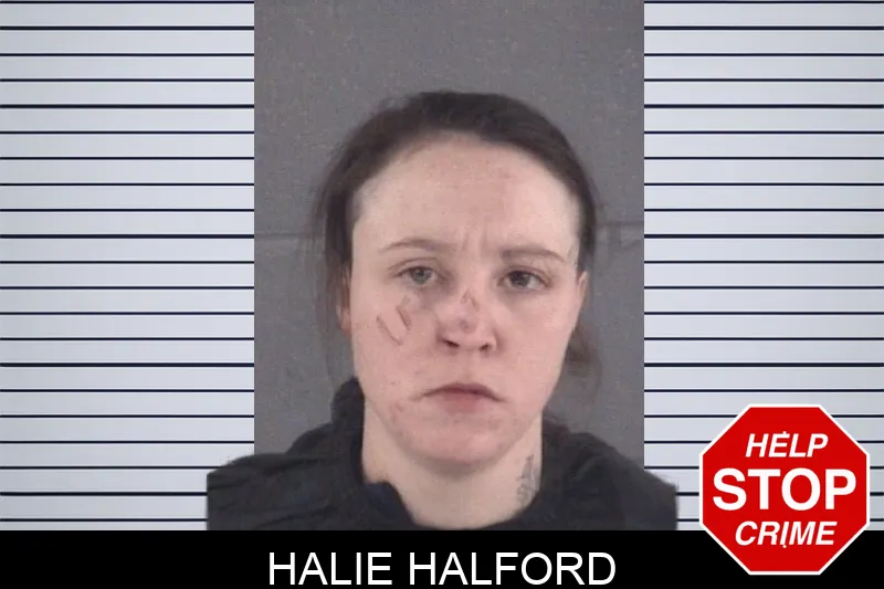 Halie Halford mugshot – Spalding County , Georgia Halie Halford mugshot