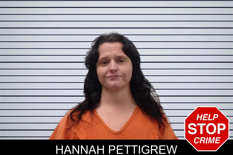 Hannah Pettigrew mugshot – Pickens County , Georgia Hannah Pettigrew mugshot