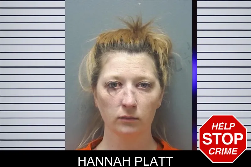Hannah Platt mugshot – Cherokee County , Georgia Hannah Platt mugshot