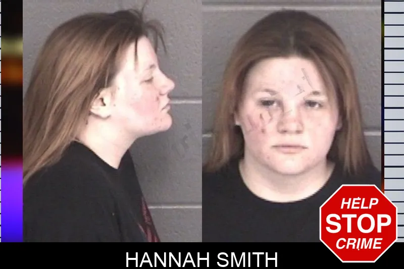 Hannah Smith mugshot – Barrow County , Georgia Hannah Smith mugshot