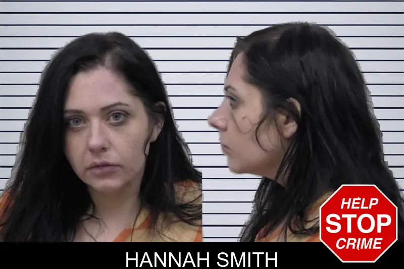 Hannah Smith mugshot – Paulding County , Georgia Hannah Smith mugshot