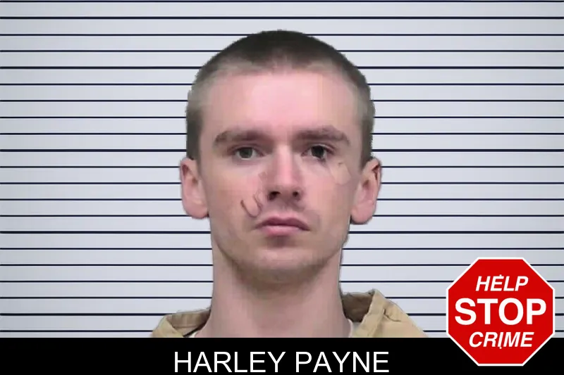 Harley Payne mugshot