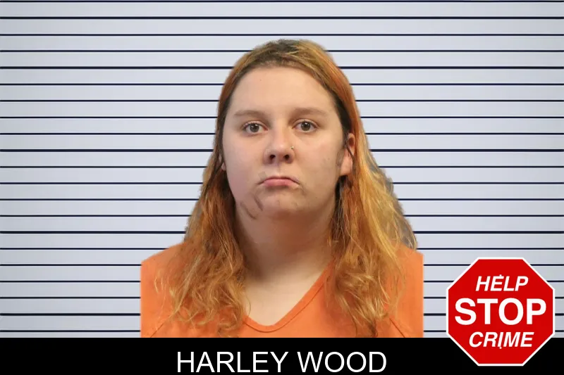 Harley Wood mugshot