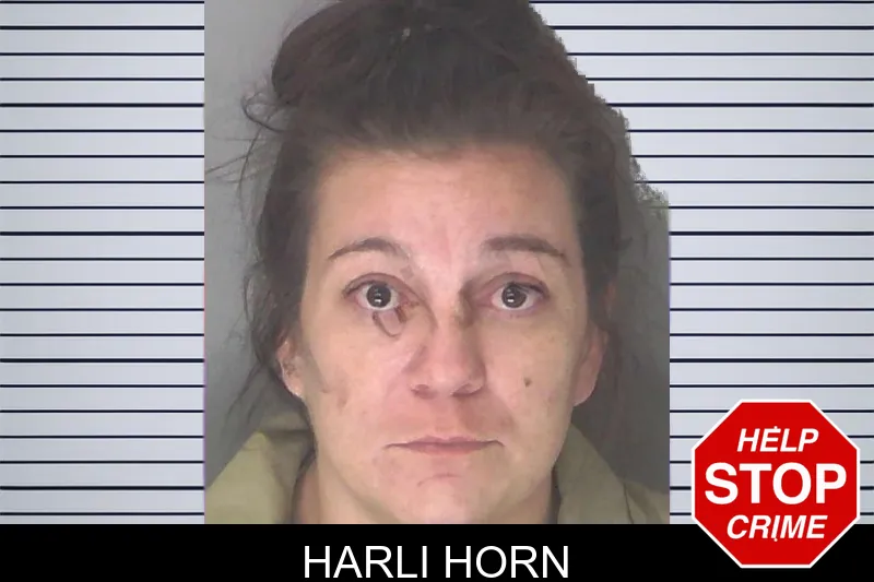 Harli Horn mugshot
