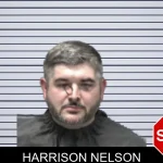 Harrison Nelson mugshot – Forsyth County , Georgia Harrison Nelson mugshot