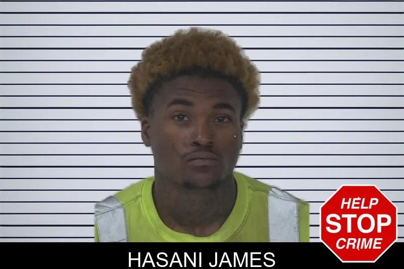 Hasani James mugshot – Fayette County , Georgia Hasani James mugshot