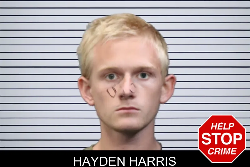 Hayden Harris mugshot – Forsyth County , Georgia Hayden Harris mugshot
