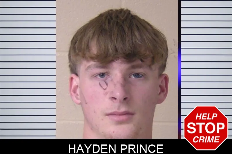Hayden Prince mugshot