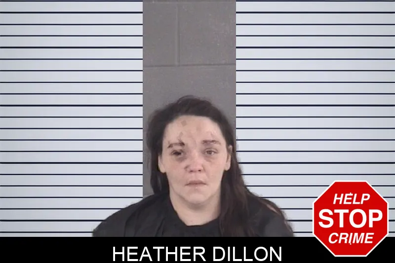 Heather Dillon mugshot – Spalding County , Georgia Heather Dillon mugshot