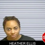 Heather Ellis mugshot