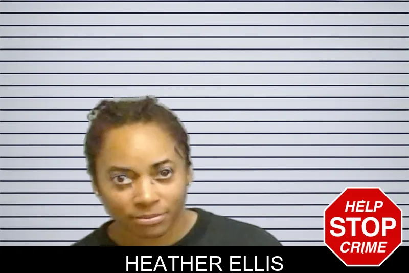 Heather Ellis mugshot – Fulton County , Georgia Heather Ellis mugshot