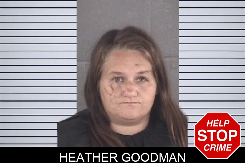 Heather Goodman mugshot – Spalding County , Georgia Heather Goodman mugshot