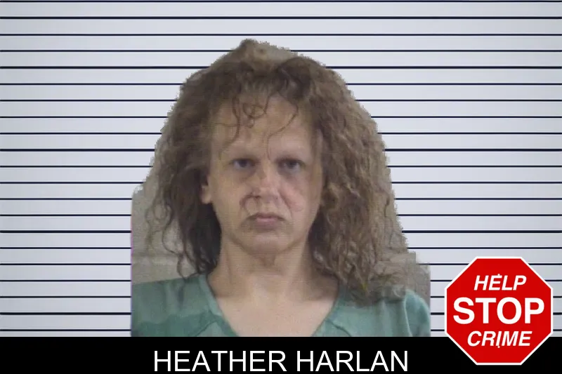 Heather Harlan mugshot – Whitfield County , Georgia Heather Harlan mugshot