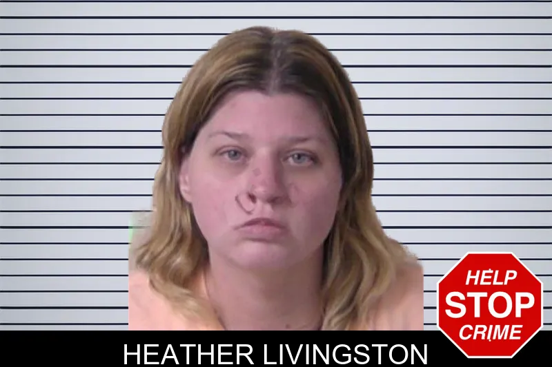 Heather Livingston mugshot – Walker County , Georgia Heather Livingston mugshot