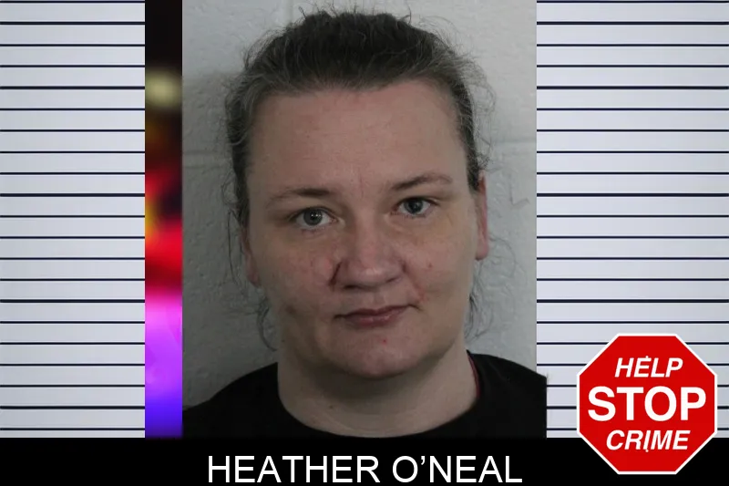 Heather O’Neal mugshot