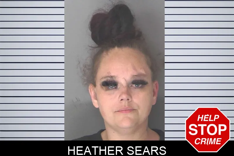 Heather Sears mugshot