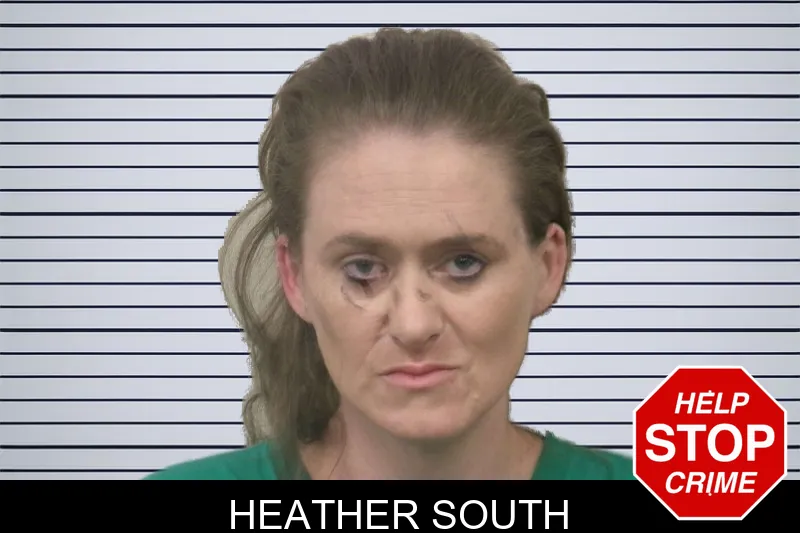 Heather South mugshot