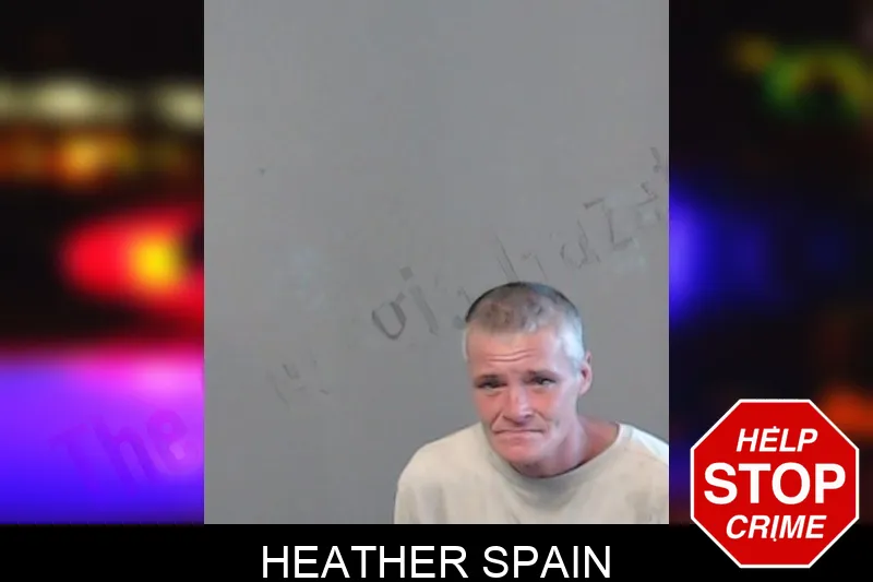 Heather Spain mugshot