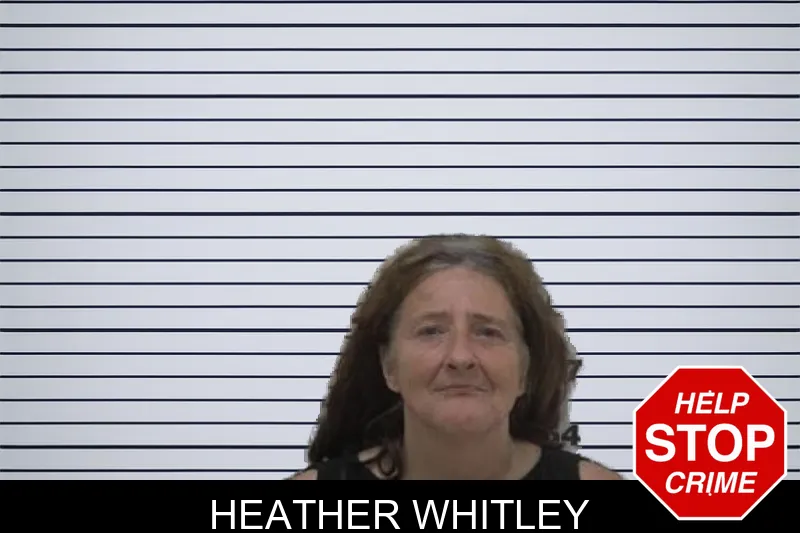 Heather Whitley mugshot