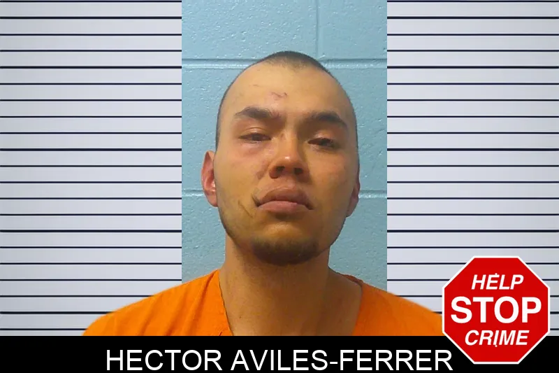 Hector Aviles-Ferrer mugshot – Franklin County , Georgia Hector Aviles-Ferrer mugshot