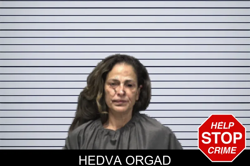 Hedva Orgad mugshot